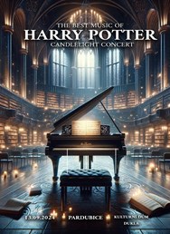 Harry Potter Music | Candlelight Concert