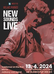 New sounds live - koncert mladých kapel