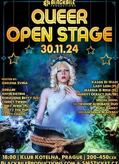 Queer Open Stage: 13th Edition