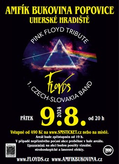 Pink Floyd CZ/SK Tribute (Floyds)