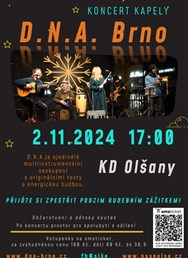 Koncert kapely D.N.A.