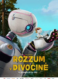 Rozzum v divočině