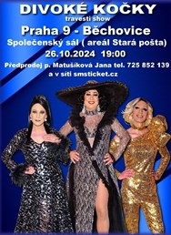 travesti Divoké kočky v Praze