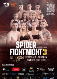 Spider Fight Night 3