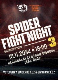 Spider Fight Night 3