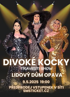 Travesti Divoké kočky v Opavě