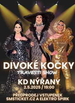 Travesti show Divoké kočky