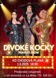 Travesti show Divoké kočky