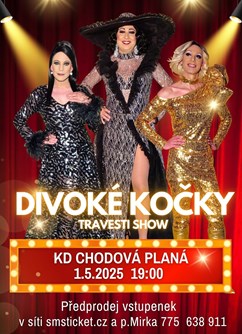 travesti show Divoké kočky