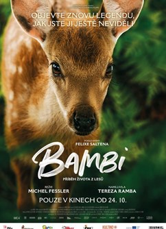 Bambi: Příběh života z lesů