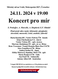 Koncert pro mír