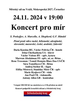 Koncert pro mír