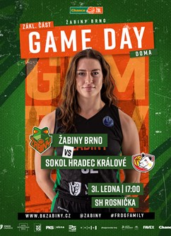 Chance ŽBL: Žabiny Brno - Sokol Hradec Králové