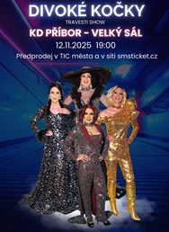 Travesti Divoké kočky