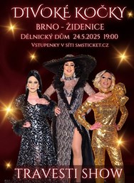 Travesti Divoké kočky v Brně