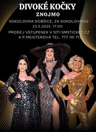 Travesti Divoké kočky ve Znojmě