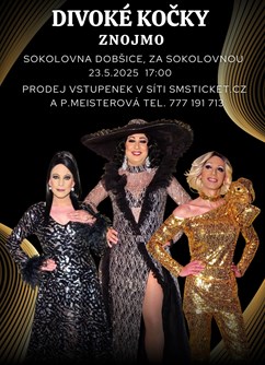 Travesti Divoké kočky ve Znojmě