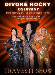 Travesti show Divoké kočky v Oslavanech