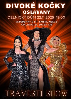 Travesti show Divoké kočky v Oslavanech