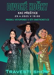 Travesti show Divoké kočky v Přešticích