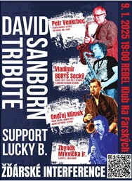 4 saxofony - "David Sanborn Tribute"