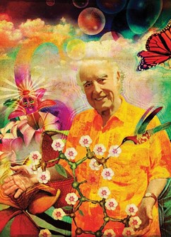 Albert Hofmann B-Day ChillOut Party PsycheDelight