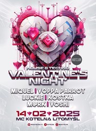 House & techno Valentine's night