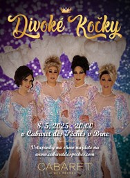 Travesti show - Divoké kočky