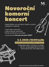 Novoroční komorní koncert