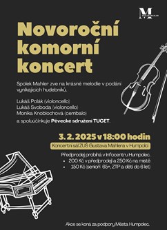 Novoroční komorní koncert