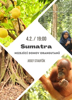 Sumatra - neopakovatelná příroda, mizející domov orangutanů