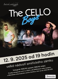 The CELLO boys