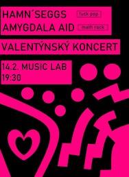 Hamn’Seggs + Amygdala Aid - Valentýnský koncert 