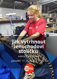 Jak vytrhnout lenochodovi stoličku