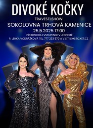 Divoké kočky - travesti show