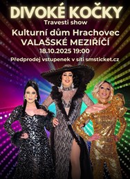 Travesti show Divoké kočky ve Valašském Meziřičí