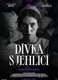 Dívka s jehlicí  