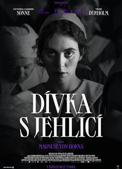 Dívka s jehlicí  