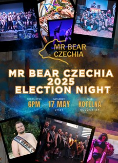 Mr Bear Czechia 2025: Election night