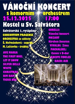 Vánoční koncert s Consortium Pragense Orchestra Vánoční koncert s Consortium Pragense Orchestra