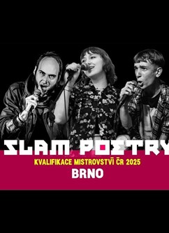Slam poetry: Brněnská kvalifikace mistrovství ČR Slam poetry: Brněnská kvalifikace mistrovství ČR