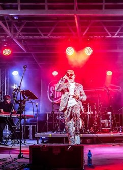 Stinga - The Sting Tribute Band Stinga - The Sting Tribute Band