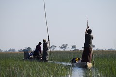 10 000 km napříč pěti státy jižní Afriky