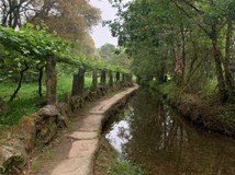 Camino de Santiago aneb když cesta je cíl