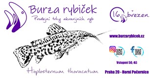 Burza rybiček - Praha Horní Počernice - Leden 2024