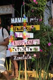 Hawaii Party vol. 14