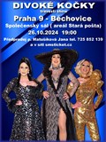 travesti Divoké kočky v Praze