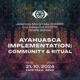 Ayahuasca Implementation: Community & Ritual 