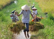 Velká cesta Vietnamem - zemí zanořujícího se draka