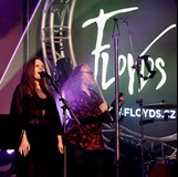 Floyds CZ/SK - Tribute Pink Floyd